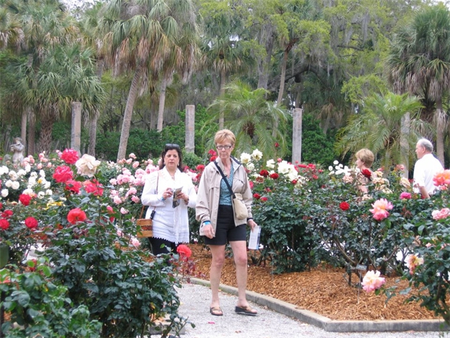 Sheila and her friend Maryanne Webber in the Ringling Museum Rose Garden