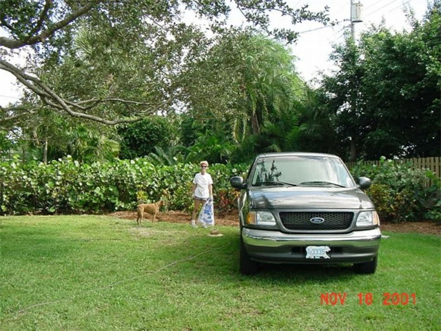 Sheila and Goldie working in the back yard