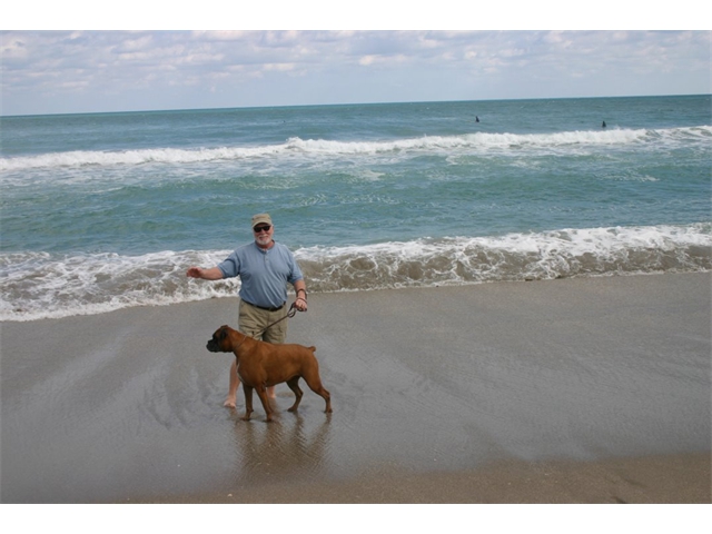 Rox at the Beach